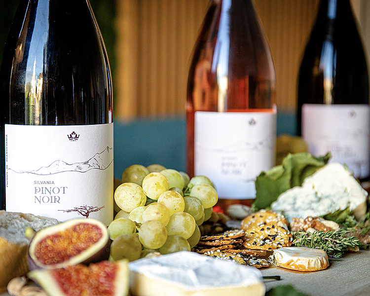 <img src="/fileadmin/user_upload/Reea_Agency/Ecommerce/logo_silvania_new.png">